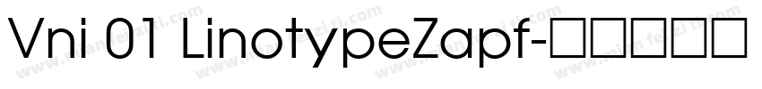 Vni 01 LinotypeZapf字体转换